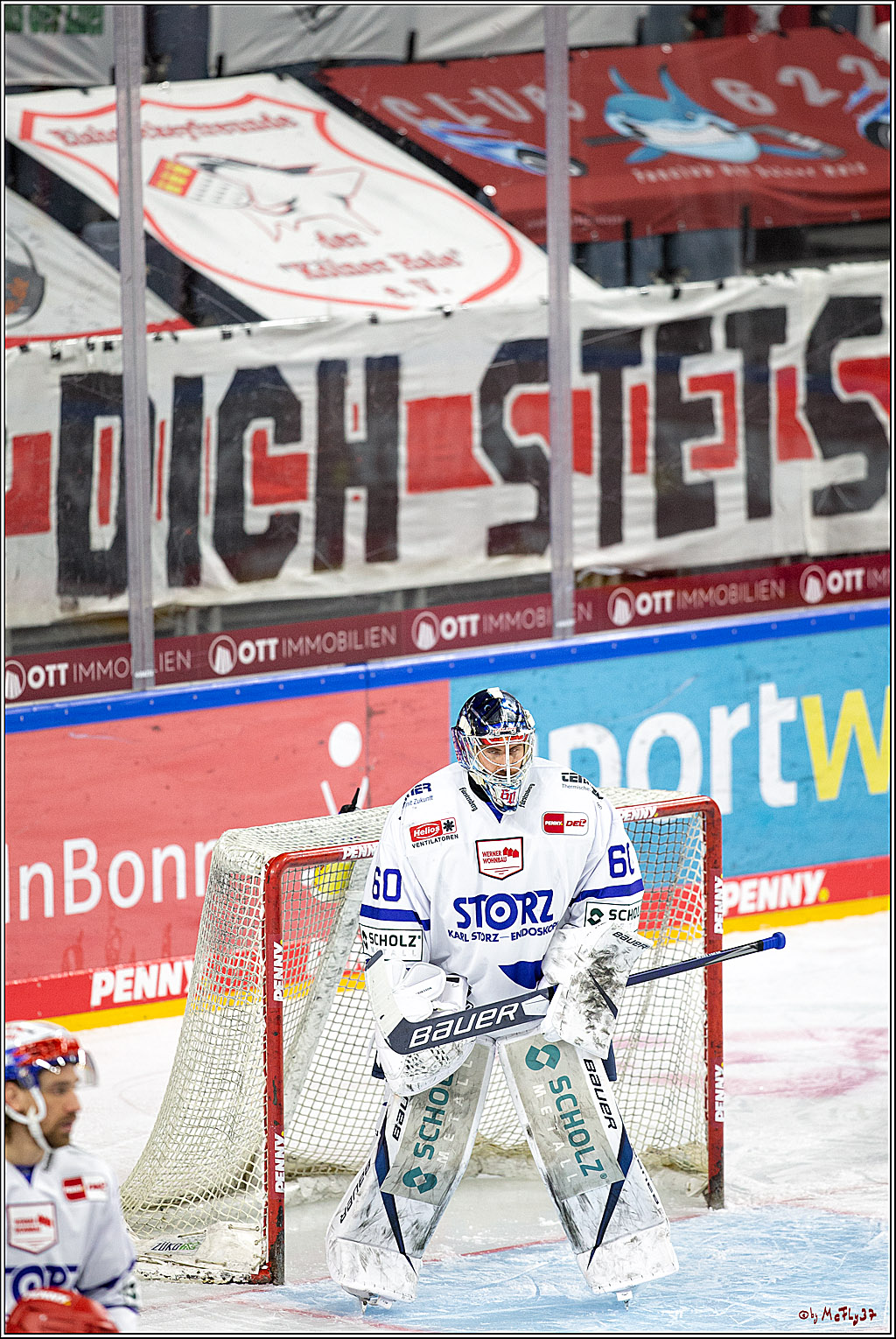 PENNY DEL;  Koelner Haie - Schwenninger Wild Wings; Koeln, 21.03.2021